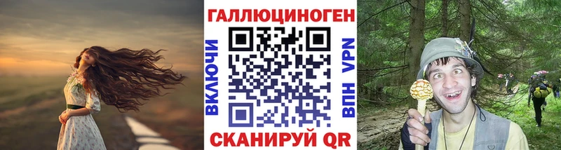 mega ТОР  Дзержинск  Псилоцибиновые грибы Magic Shrooms 